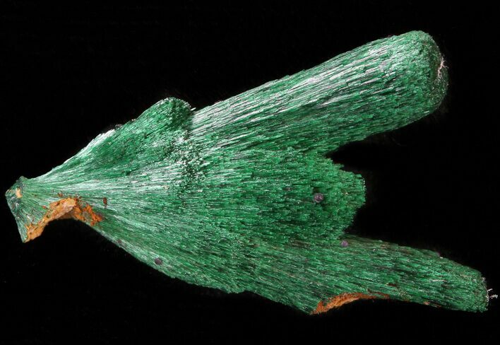 Silky, Fibrous Malachite Crystals - Morocco #42002